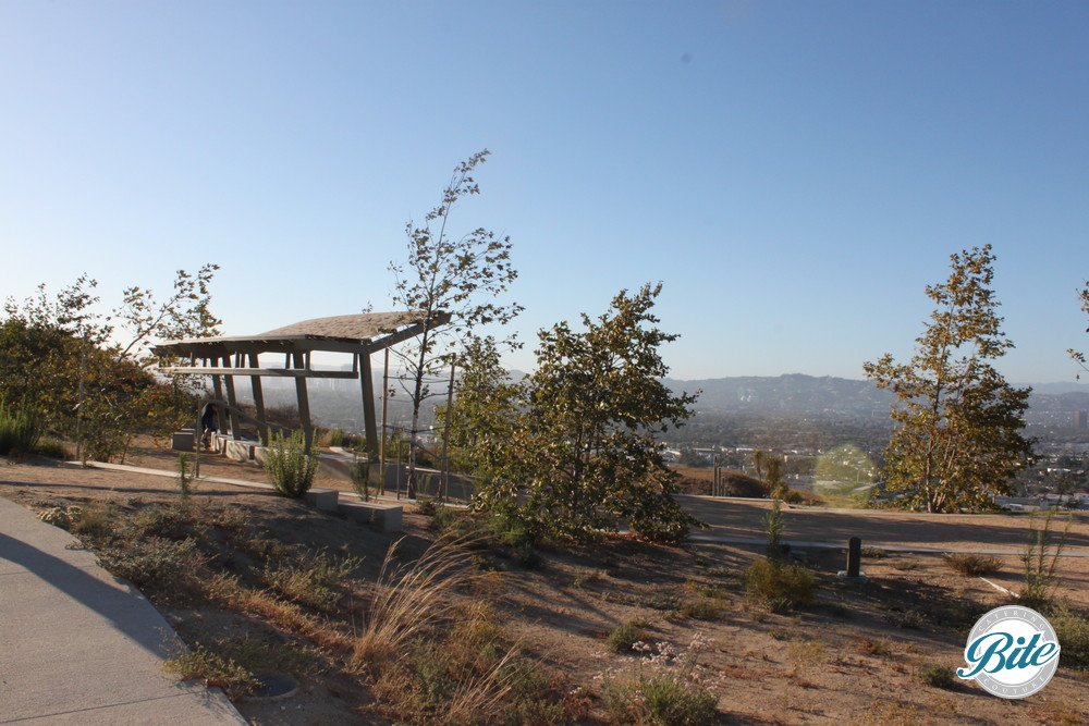 Amazing views await at Skyline Terrace as seen from this shot just above the Terrace area