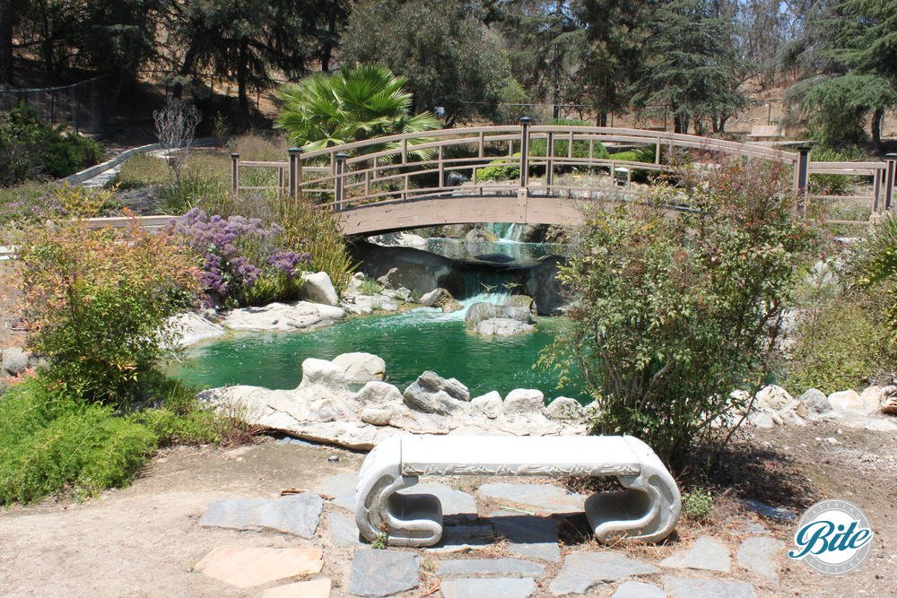 Perfect photo spot with the wooden bridge over the gurgling brook