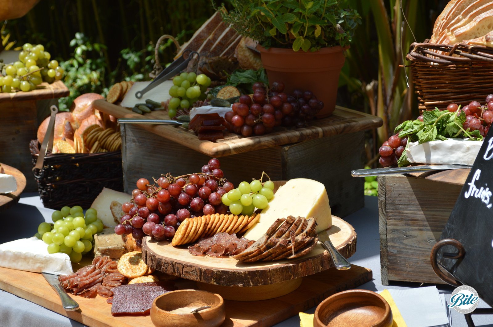 Graduation/Birthday Party International Cheese and Charcuterie Display Closeup 3