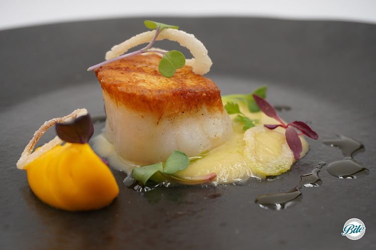 Plated Poached Scallop